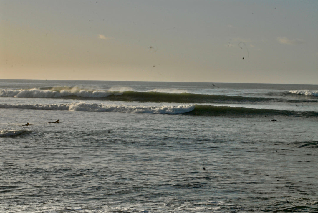 Kimmeridge Bay - South Coast 13.12.25